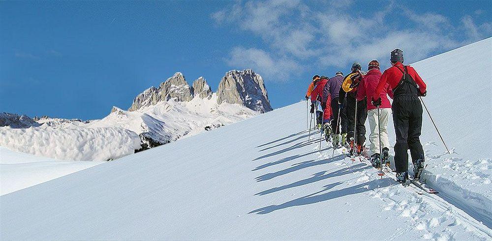 Hotel Dolomites Inn Канацеи Экстерьер фото