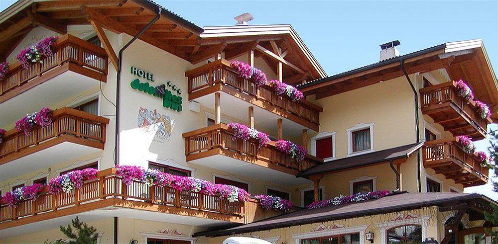 Hotel Dolomites Inn Канацеи Экстерьер фото